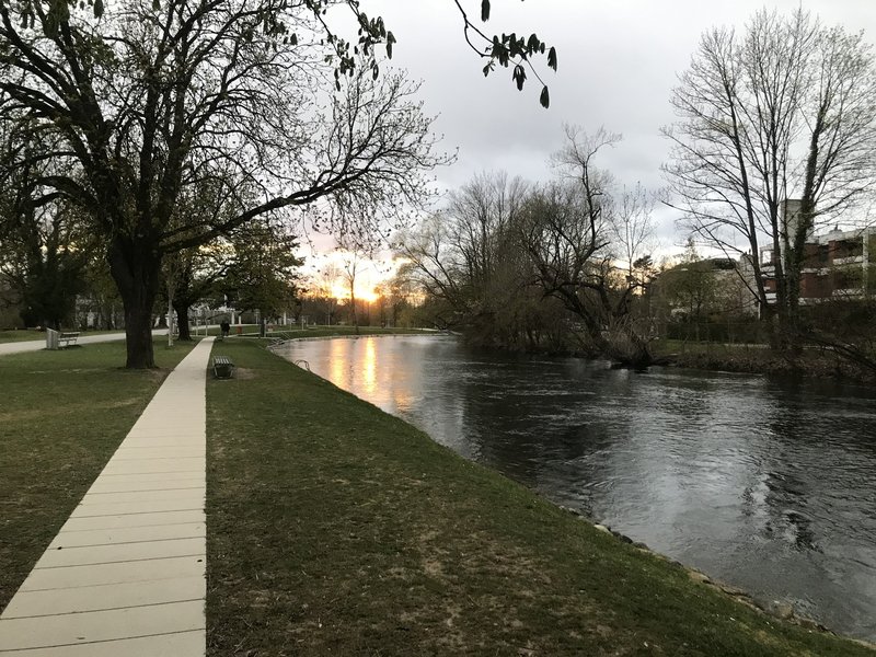 Werdinsel in ca. 100 Meter Distanz