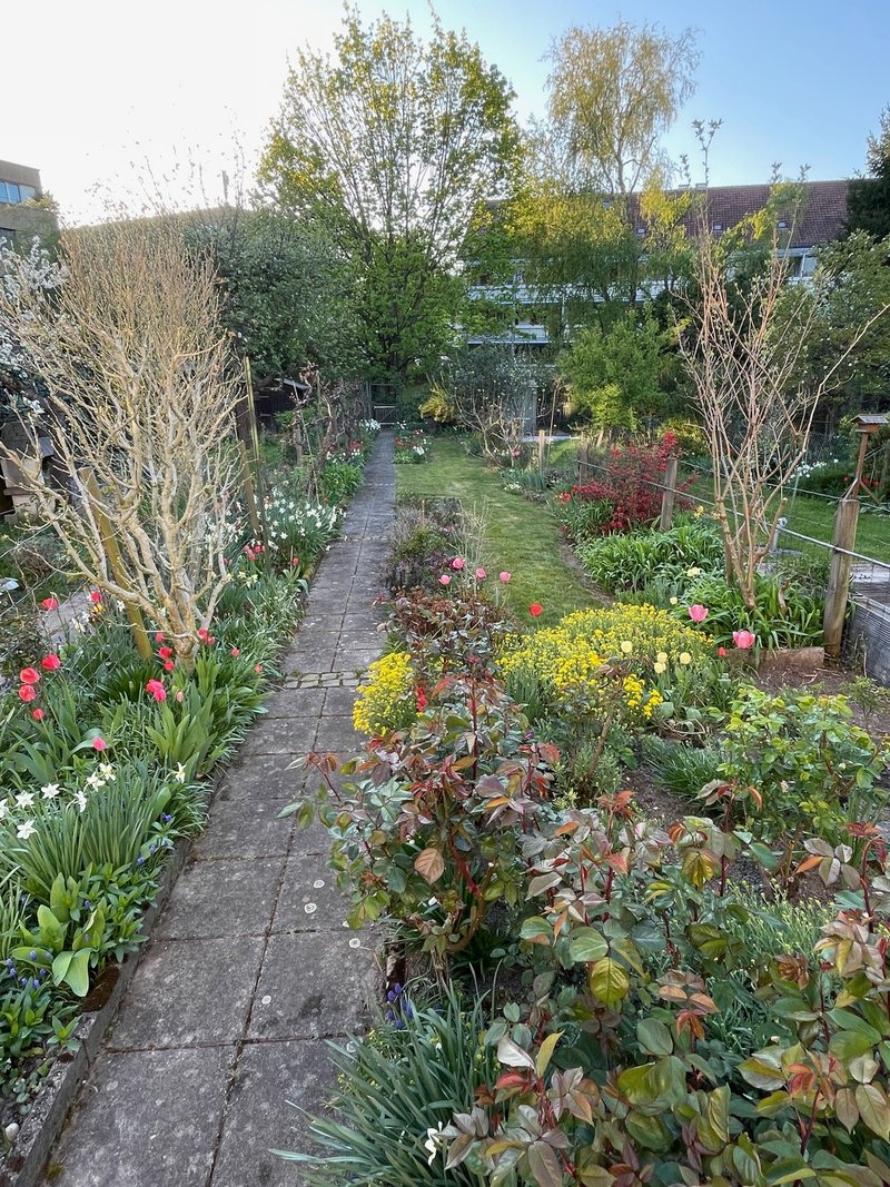 Garten im grünen Innenhof (Sommer 2025)