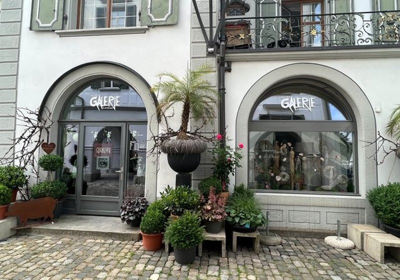 Platz_12_Blumengalerie_Schaufenster_mit_Pflanzen.png