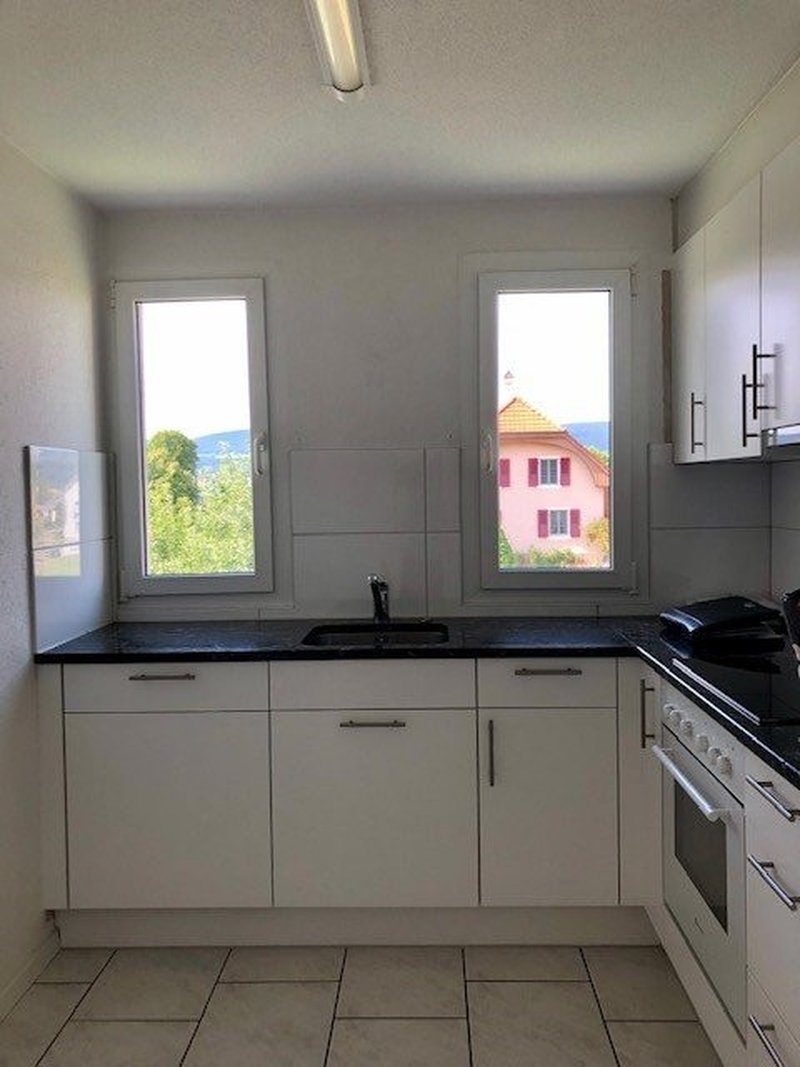 Neue Küche mit Geschirrspüler und Steinabdeckung