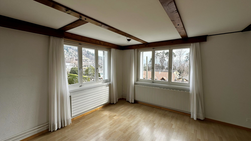 Wohnzimmer Essbereich