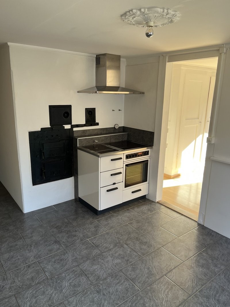 Holzofen mit Glaskeramik