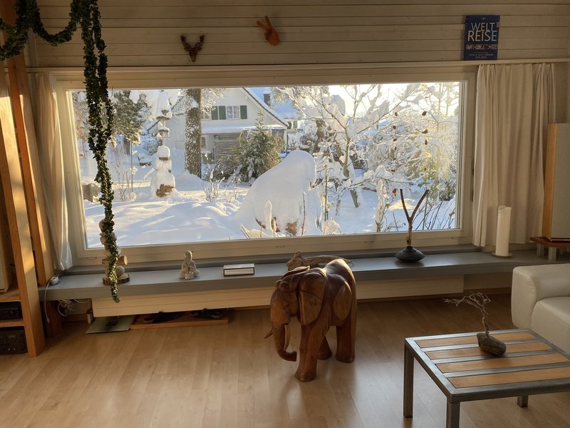 Wohnzimmer Südfenster