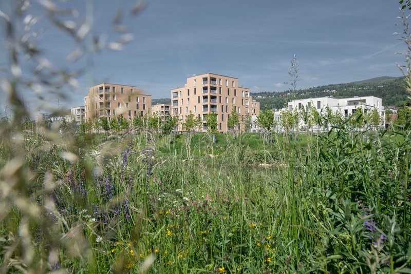 Aussenansicht Schüssinsel 