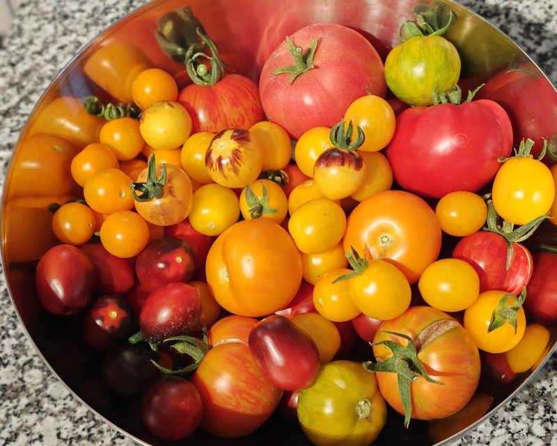 darauf kannst du dich jeden Sommer freuen