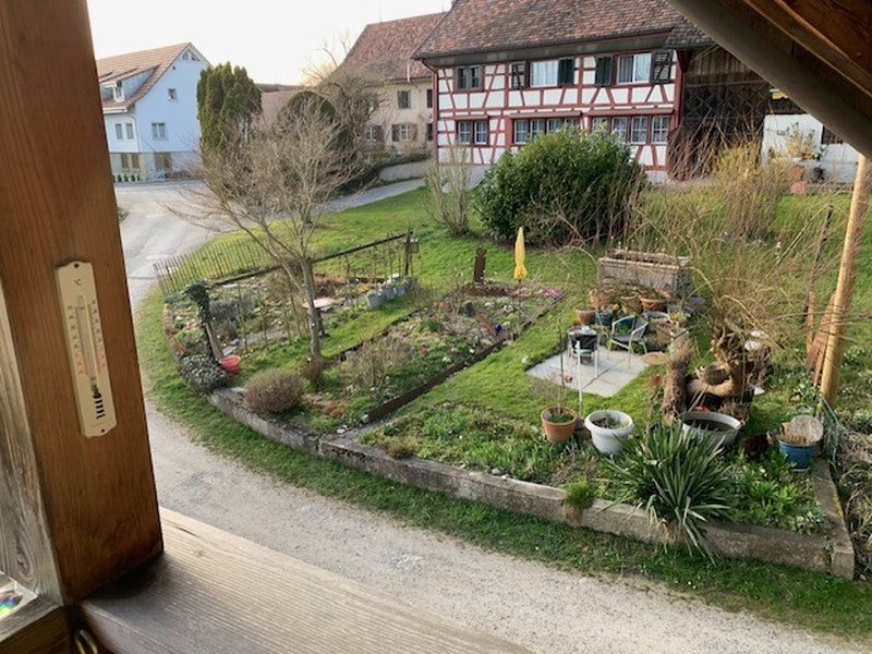 Garten vor dem Haus