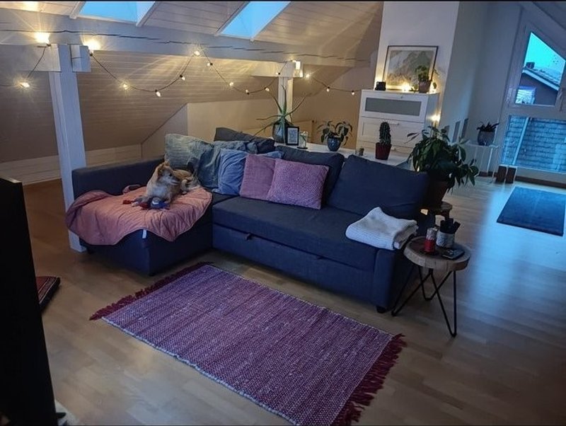 Currently the tv room. This would be the roommates room.