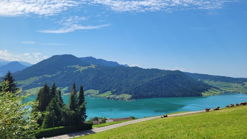 Aussicht vom Sitzplatz