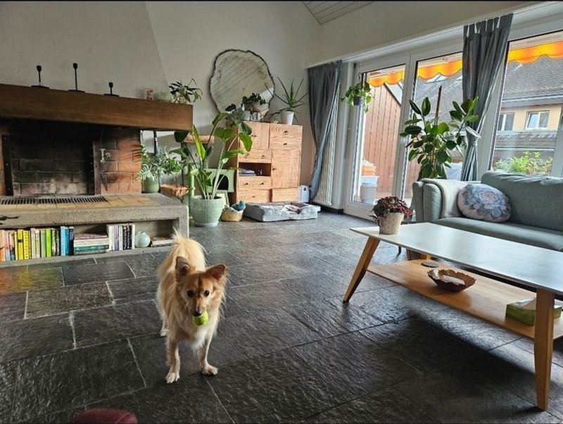 Living room with lovely fireplace