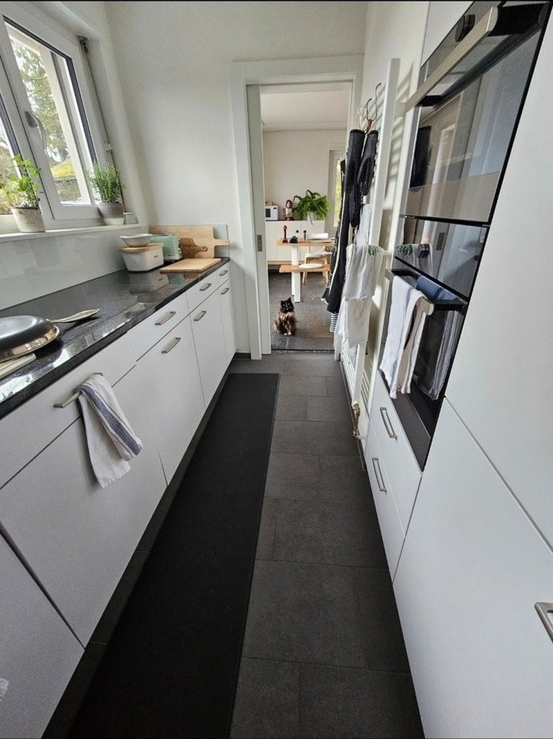 Kitchen for shared use. With dishwasher, oven, steamer, and lots of counter space.