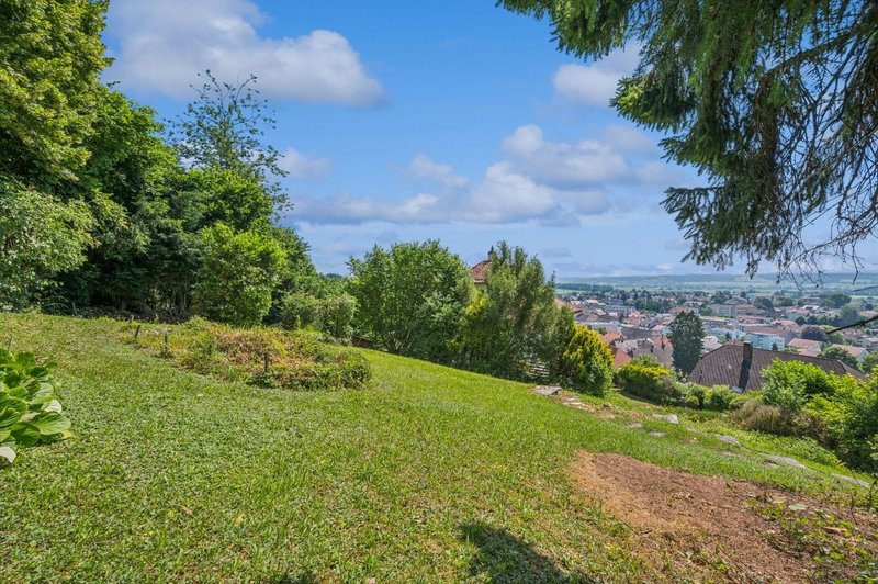 Grüne Oase mit Weitsicht