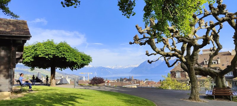 La vue sur le lac depuis le parc