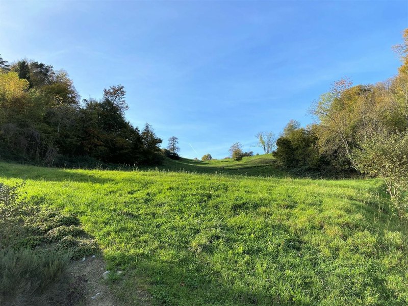 Bauparzelle, Steig, Herdern