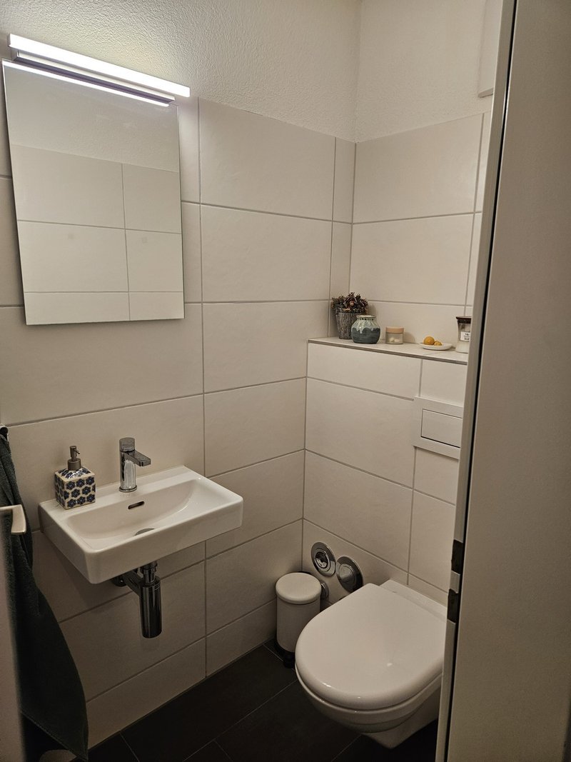 The downstairs spare bathroom.