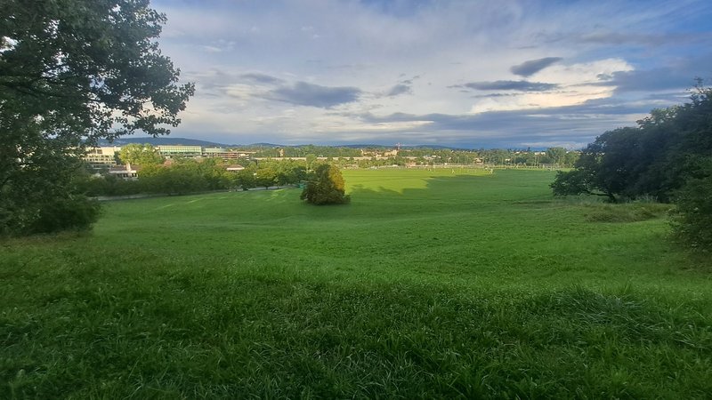 Allmend (in 1 min hier)