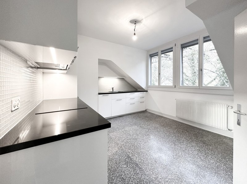 Cuisine habitable 14,5m2 agencée, frigo-congélateur, hotte extérieure, plaques induction, grande fenêtre triple vitrage, sol, ardoise