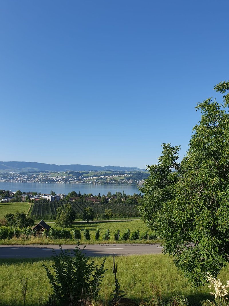 Aussicht vor dem Haus