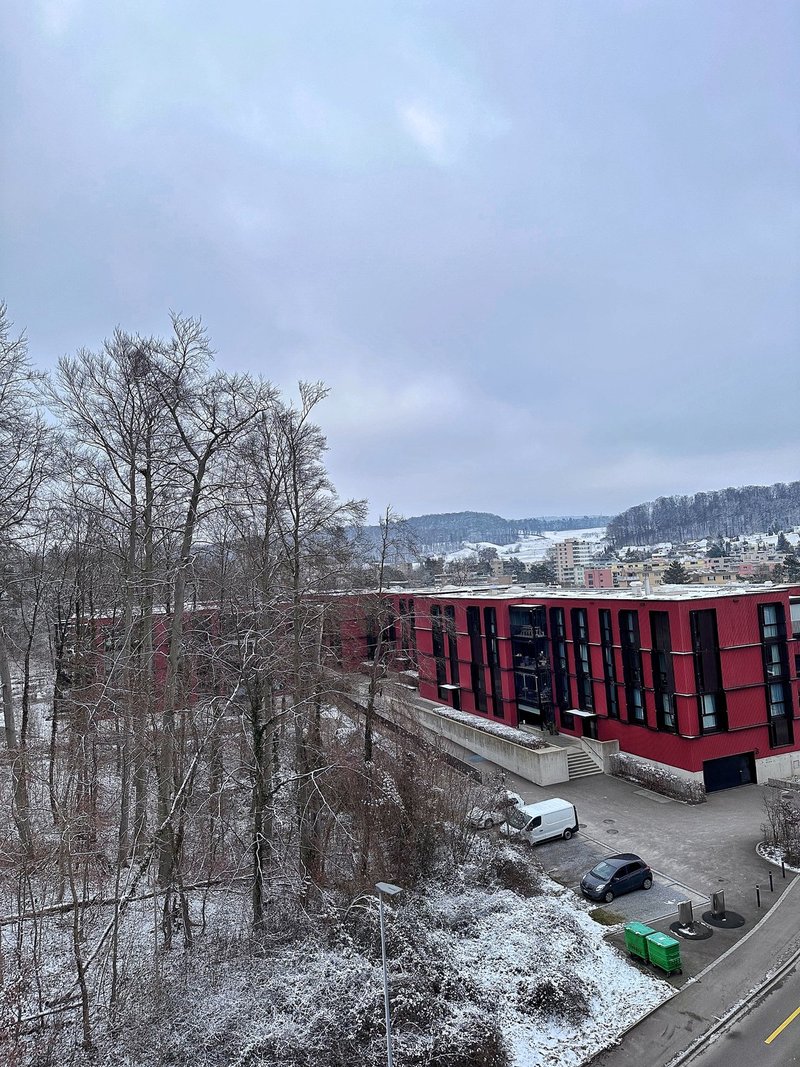 Ausblick Fenster Küche