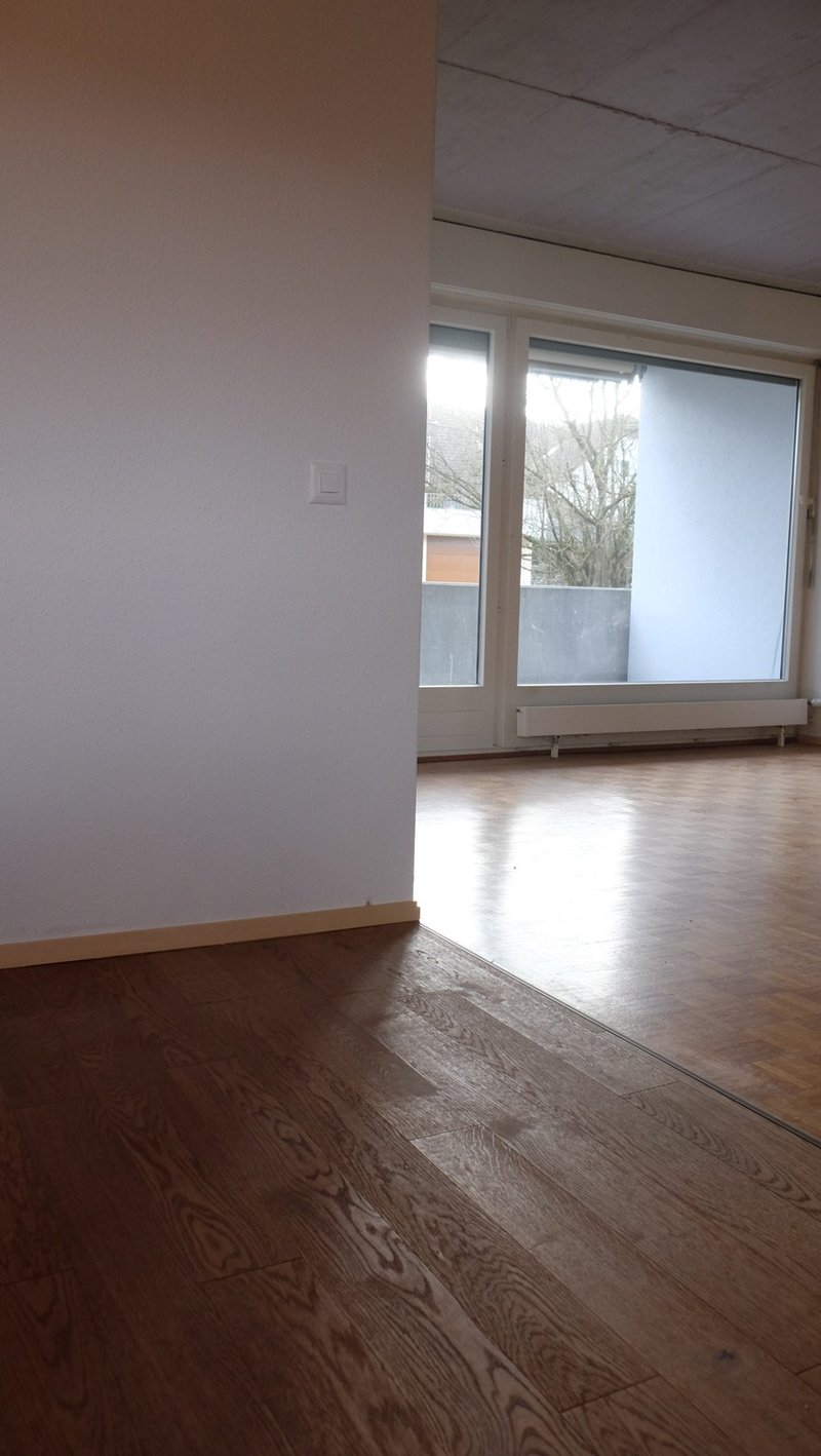 Entrée / Wohnzimmer