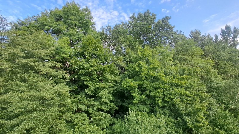 Aussicht aus dem Zimmer