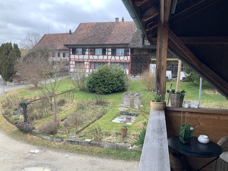 Blick vom Balkon in den Garten