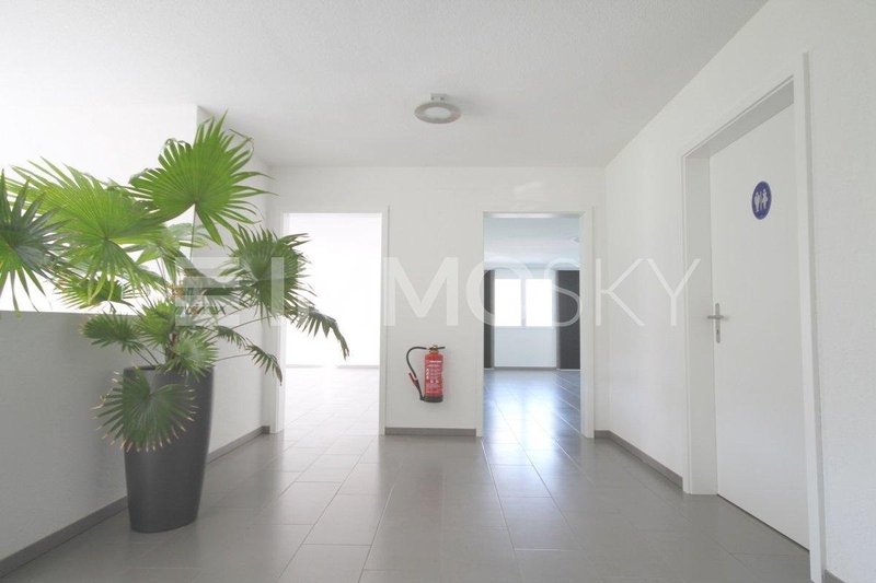 Eingangsbereich zu Ihren zwei Büros