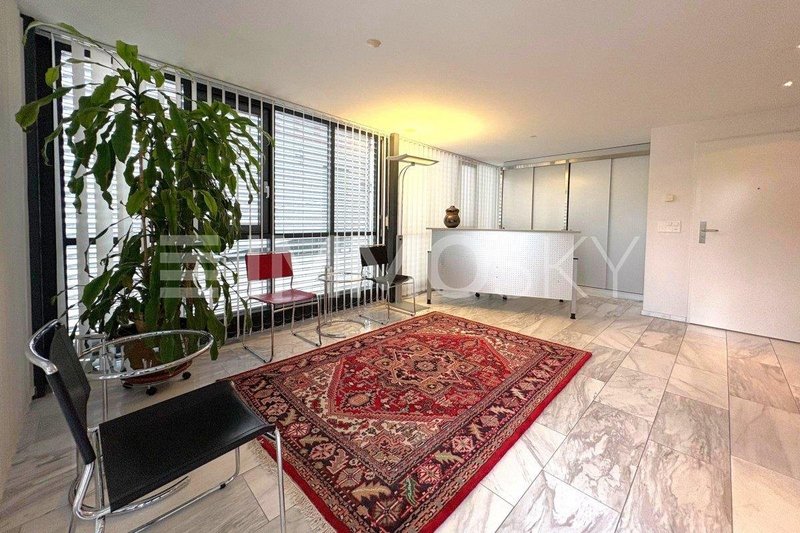 Grosszügiger Empfangsbereich