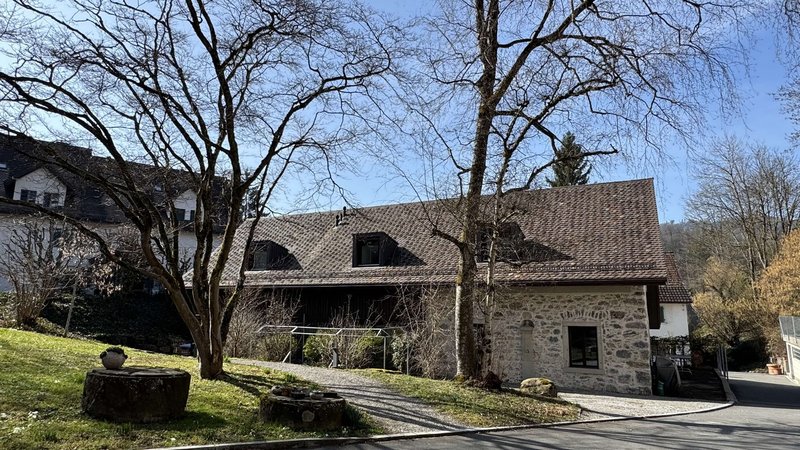 Aussenansicht Garten