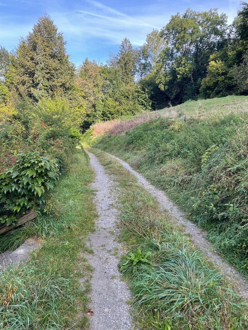 Feldweg hinter dem Haus