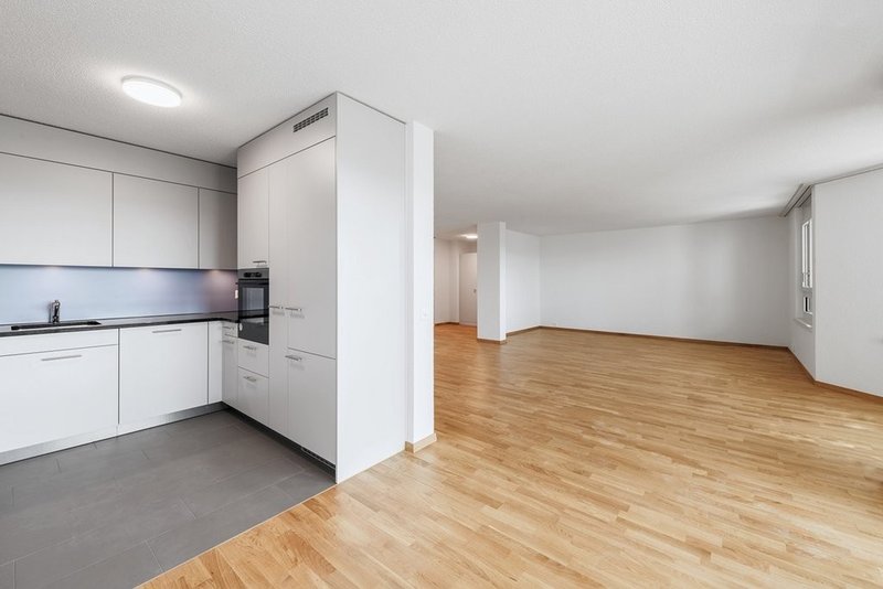 Küche, Wohnzimmer und Eingangsbereich