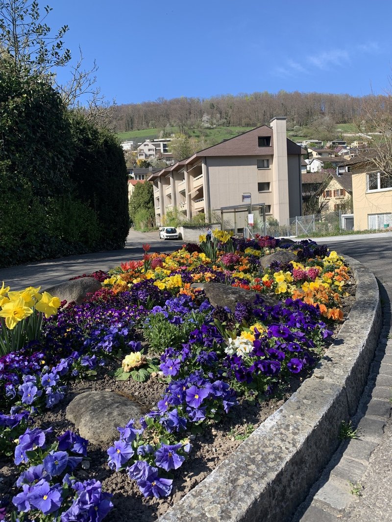 Sonnige, ruhige Wohnlage mit Bus neben dem Haus