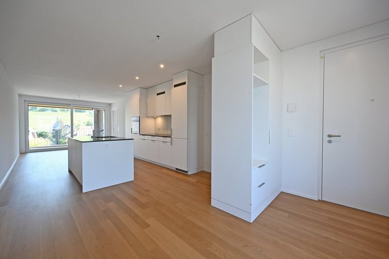 Eingang / Wohnzimmer / Küche